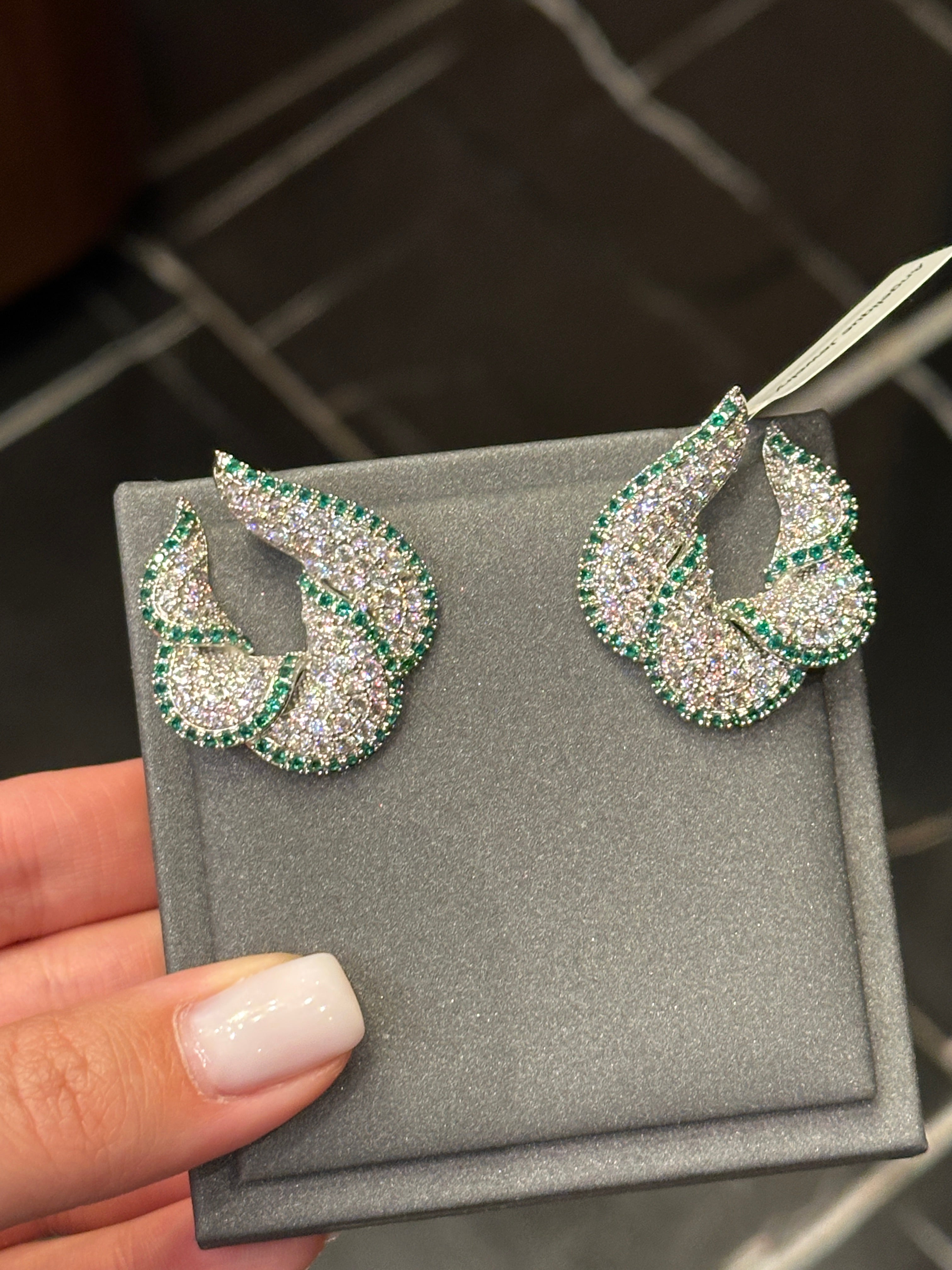 Earrings