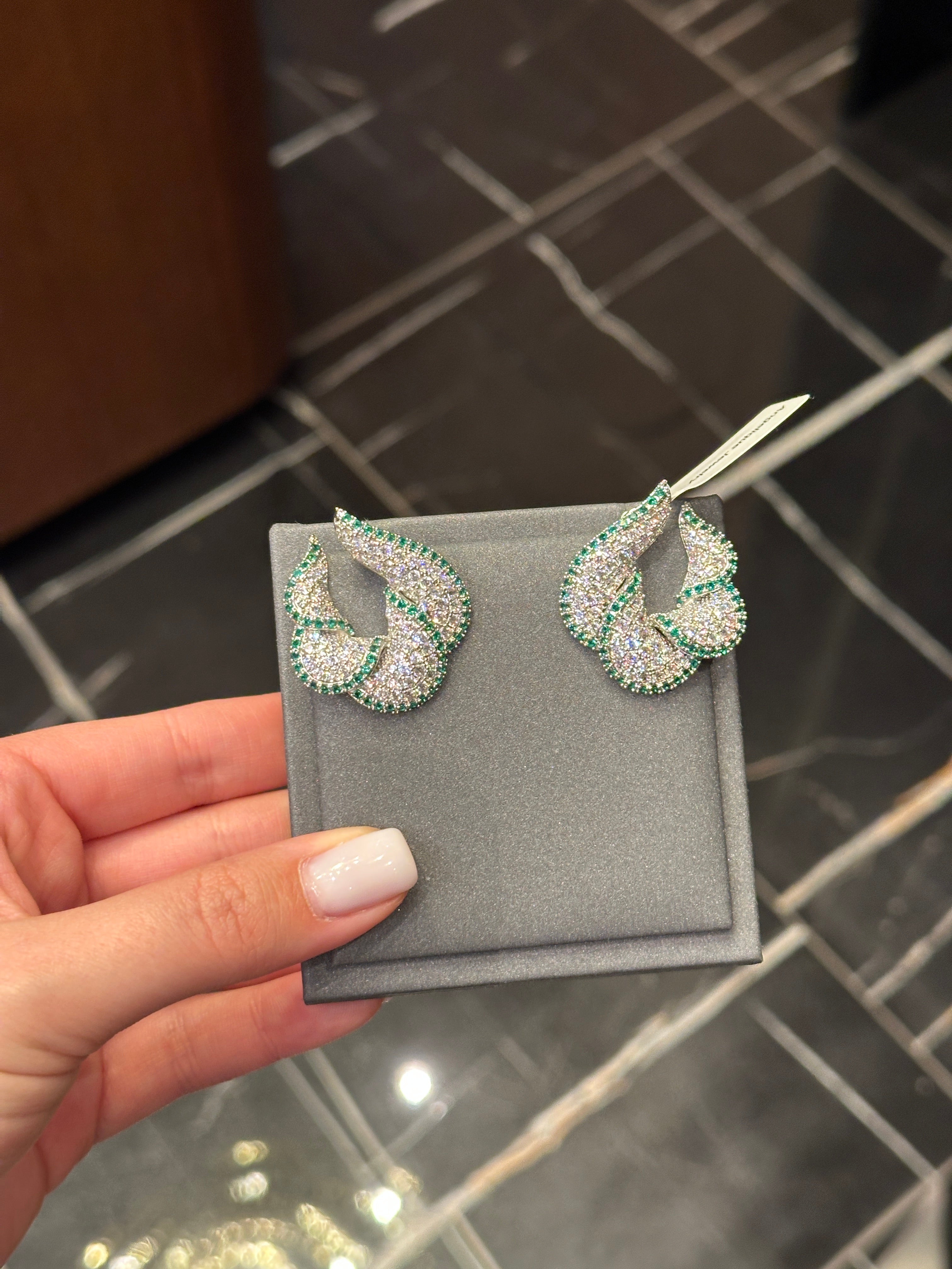 Earrings