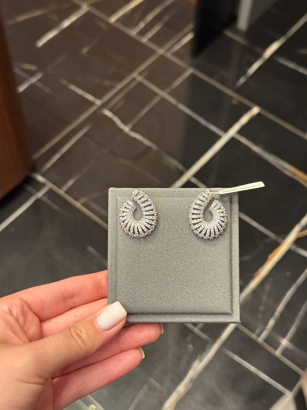 Earrings