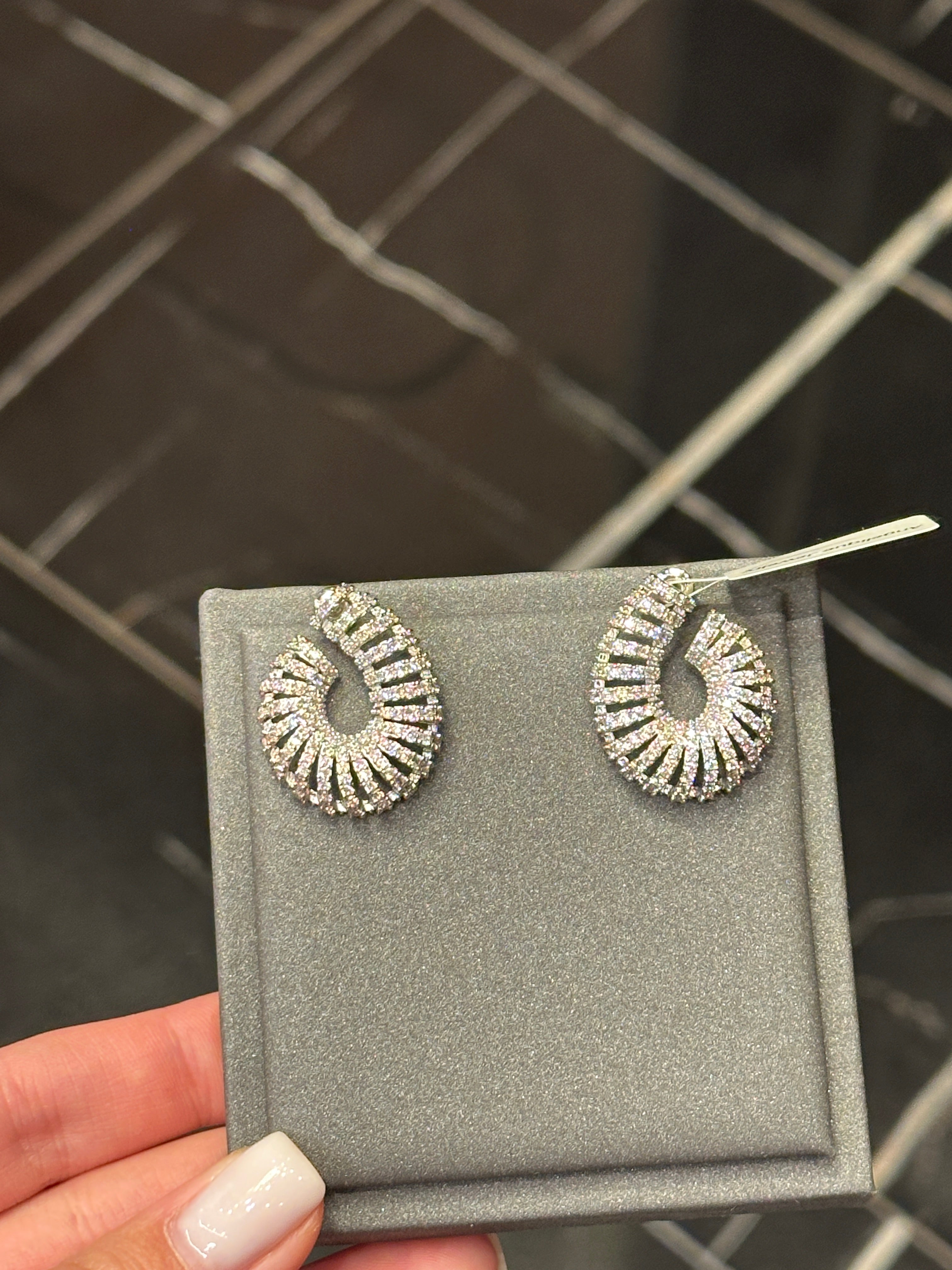 Earrings